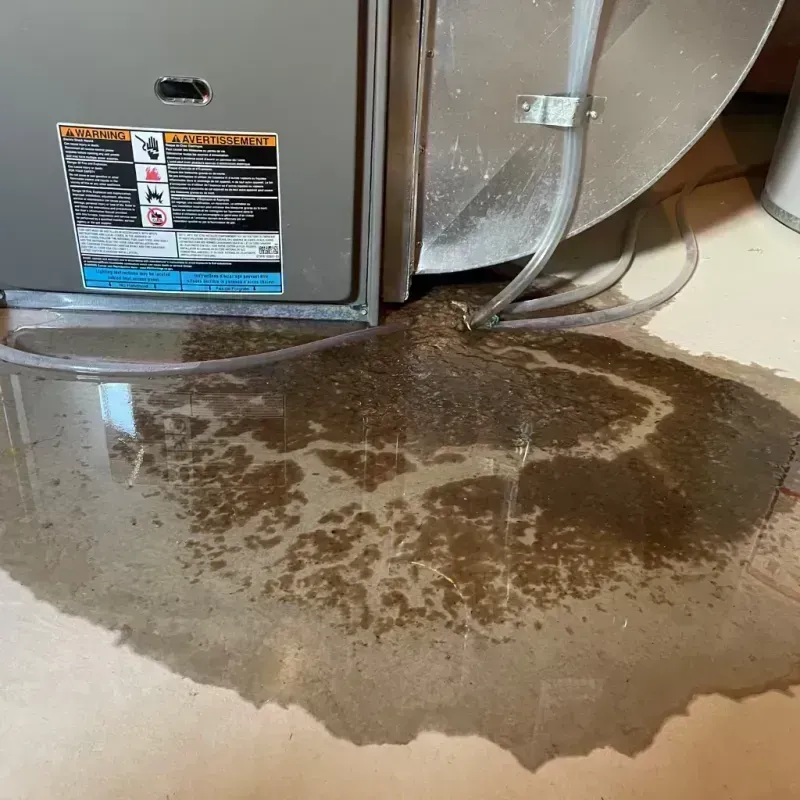 Appliance Leak Cleanup in Elliott County, KY